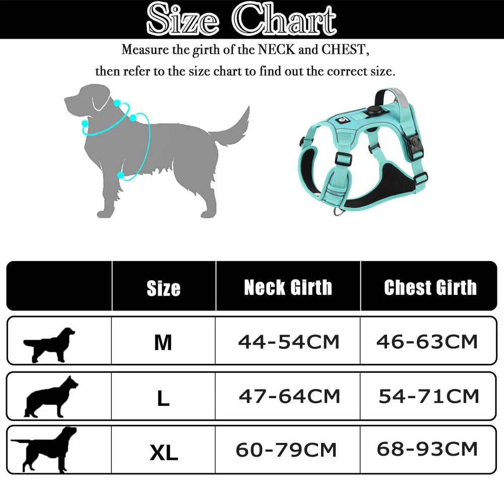 Premium Reflective Cat & Dog Harness Set - Silver Tofi