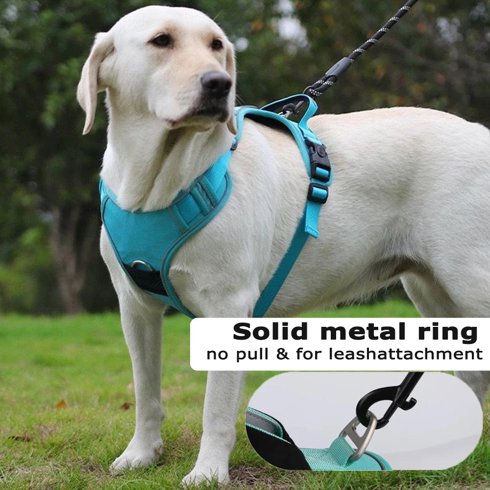 Premium Reflective Cat & Dog Harness Set - Silver Tofi