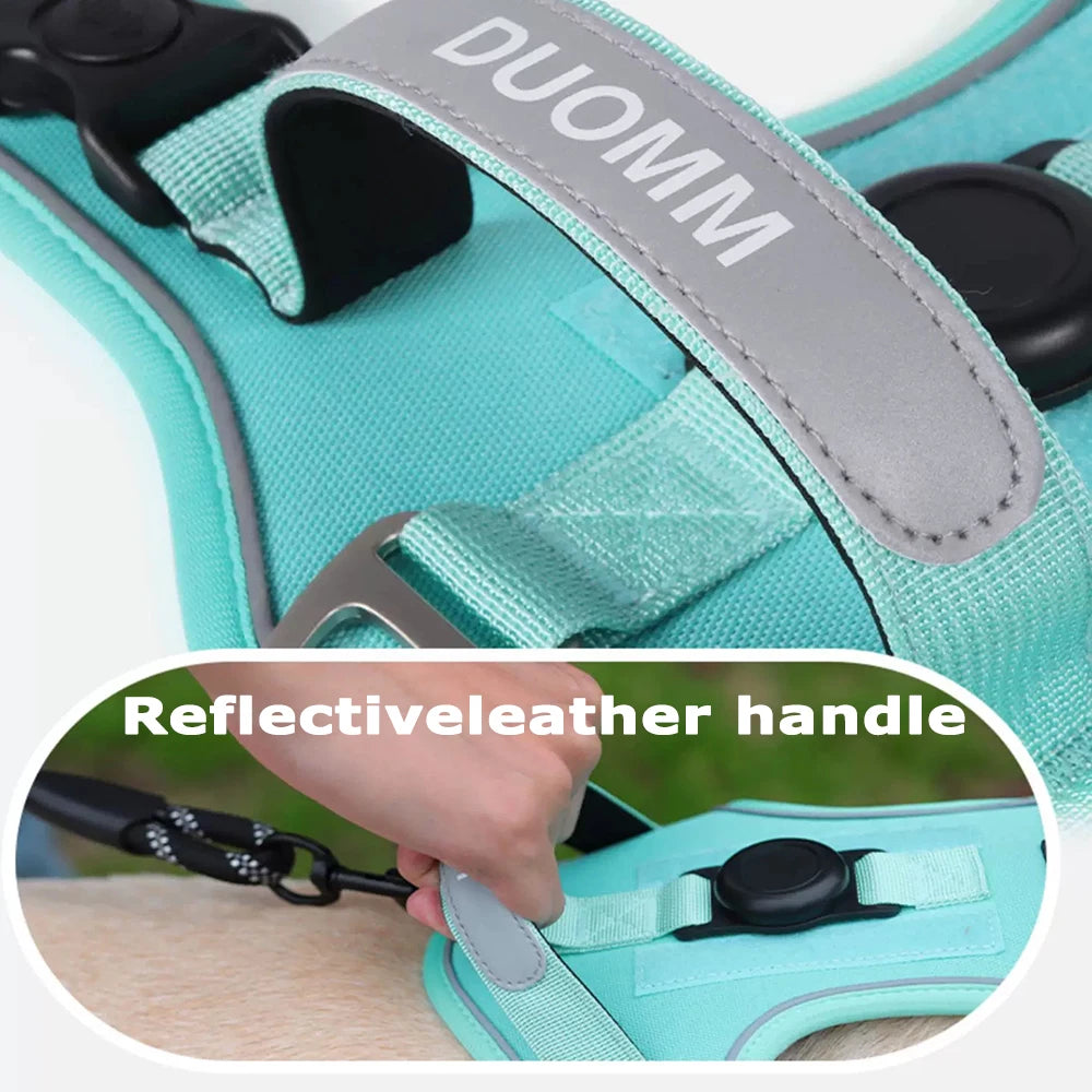 Premium Reflective Cat & Dog Harness Set - Silver Tofi