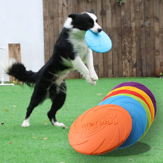 Bite Resistant Durable Dog Flying Disc Toy - Silver Tofi