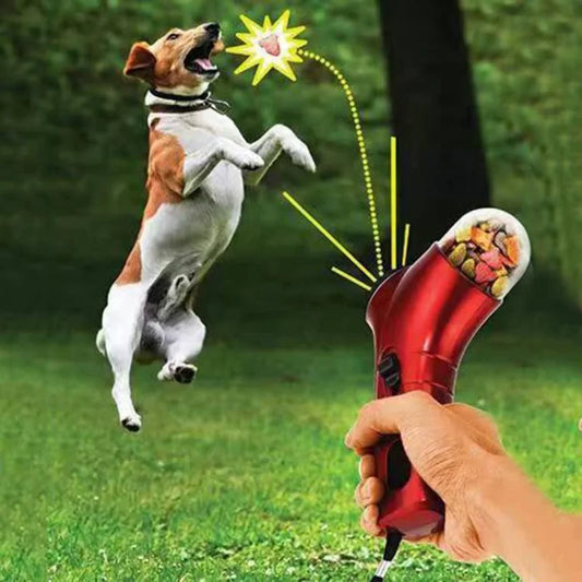 Interactive Dog Treat Launcher Toy - Silver Tofi